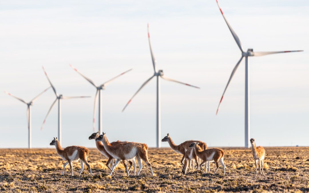 PCR presenta su tercer Reporte de Sustentabilidad