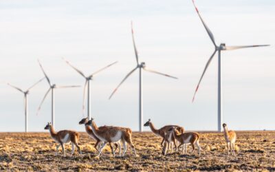 PCR presenta su tercer Reporte de Sustentabilidad