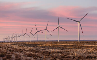 PCR, primera empresa energética de Argentina en medir y validar internacionalmente la huella ambiental de sus parques eólicos