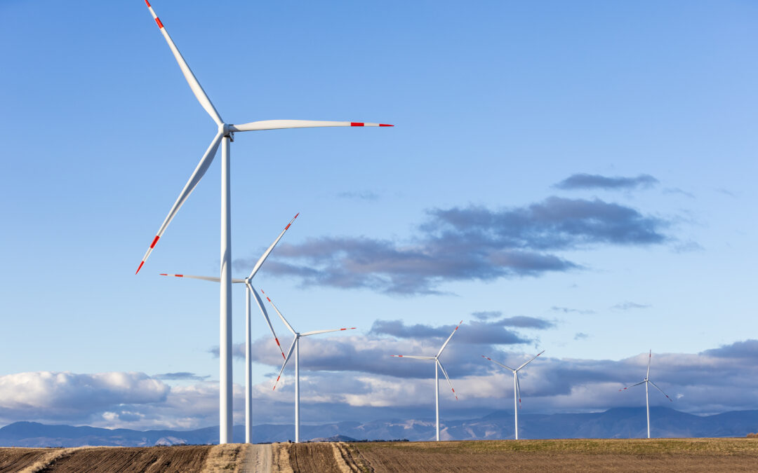 Nueva emisión de Obligaciones Negociables | Luz de Tres Picos S.A